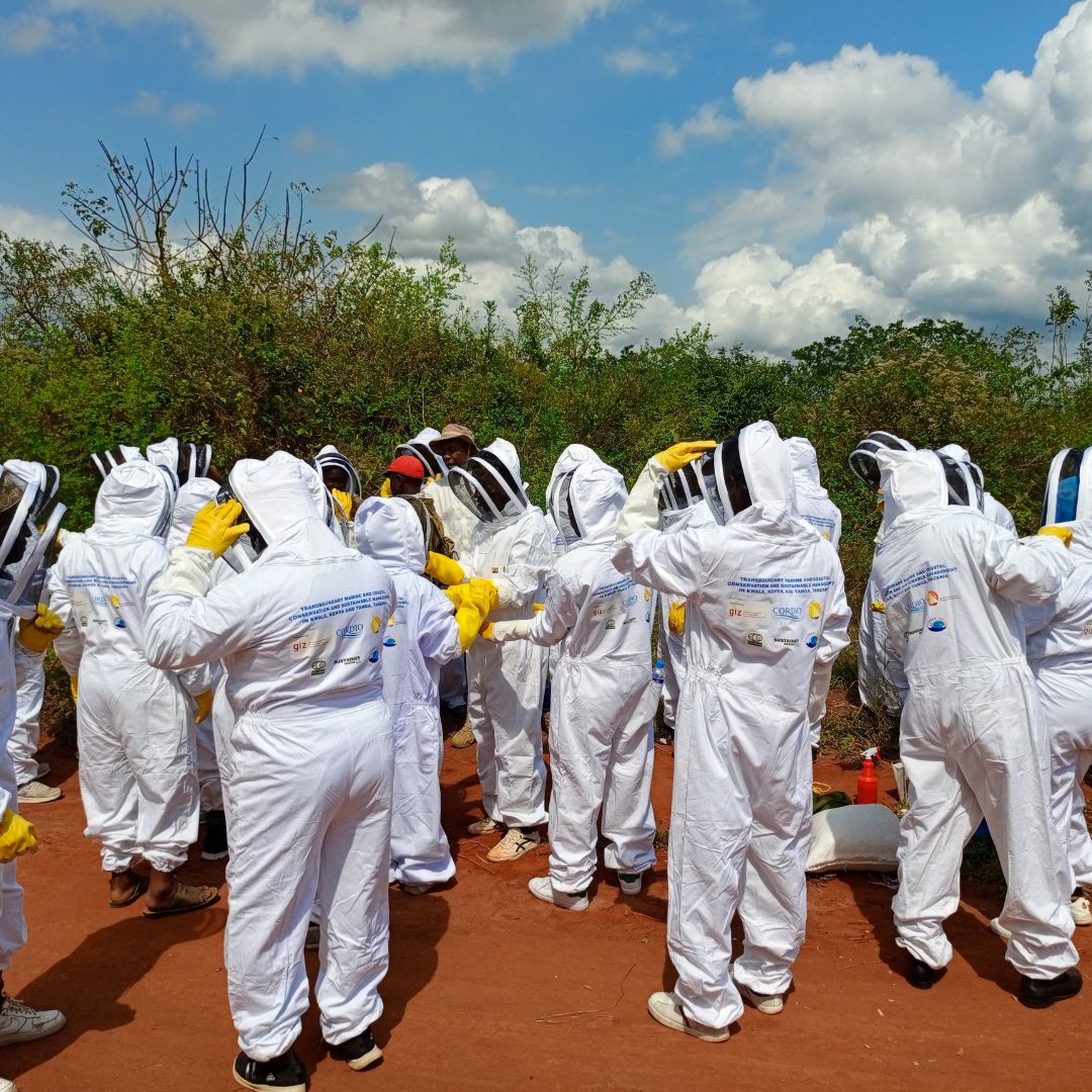Building Beekeeping Skills in Kwale, Kenya, and Tanga, Tanzania (5)